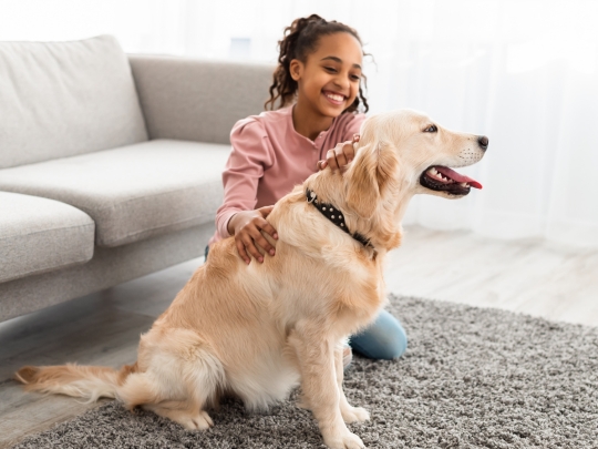 importance-of-preventative-pet-care-for-lifelong-health